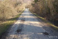 IMG_20200318_090626