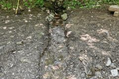 IMG_20210627_130511