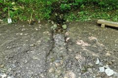 IMG_20210627_130519