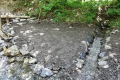 IMG_20210627_134713