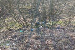 IMG_20200318_083943