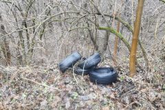 IMG_20201230_113653