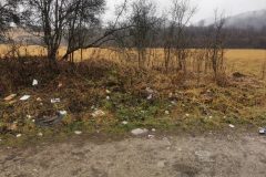 IMG_20201230_113701