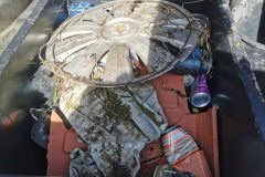 IMG_20210307_120845